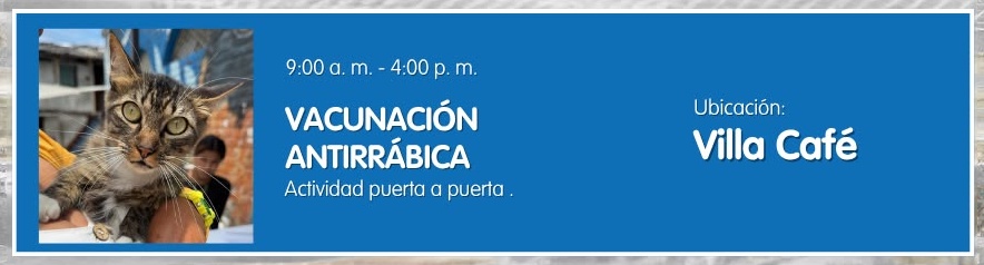 Vacunación antirrábica - Villa Café